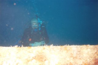 scuba007.jpg