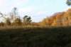 autumn2006153_small.jpg