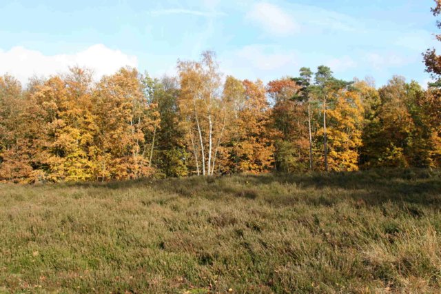 autumn2006156.jpg