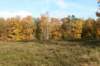 autumn2006156_small.jpg