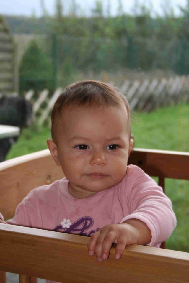 autumn20062.jpg