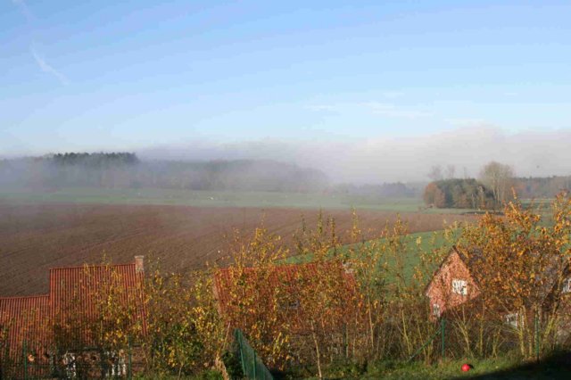 autumn2006230.jpg