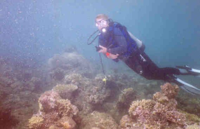 diveindo0039n.jpg