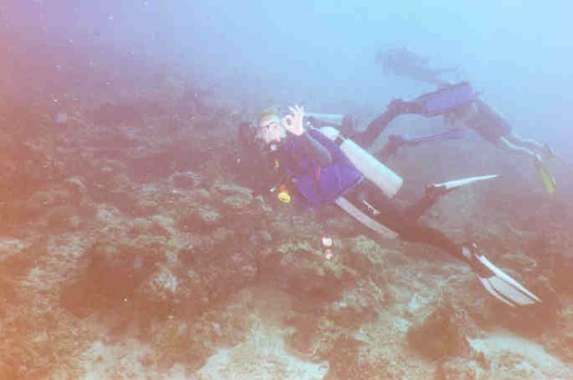 diveindo0059n.jpg