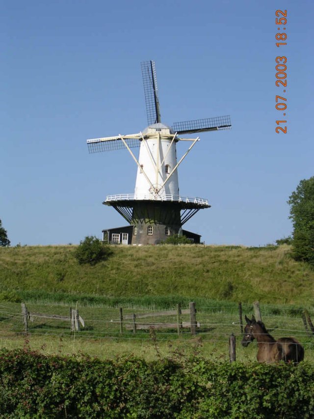 zeeland10.jpg